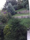 fotografia